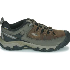 TARGHEE III WP