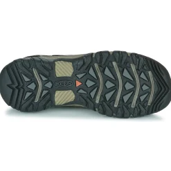 TARGHEE III WP