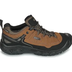 TARGHEE IV WP