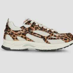 The Re-Run Leopard