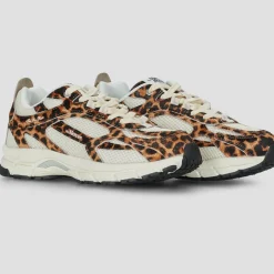 The Re-Run Leopard