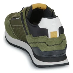 TRAVIS SPORT BOLD