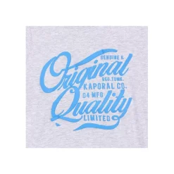 T-Shirt Garçon Afur Malmel Gris