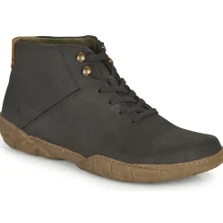TURTLE N5083