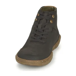 TURTLE N5083
