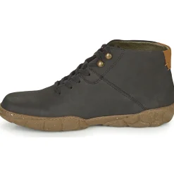 TURTLE N5083