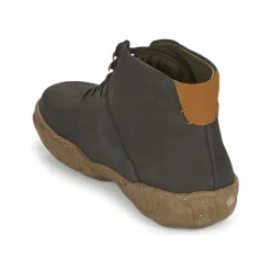 TURTLE N5083