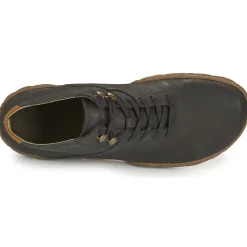 TURTLE N5083