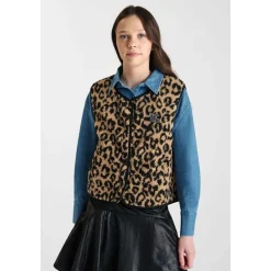 Veste gudrugi