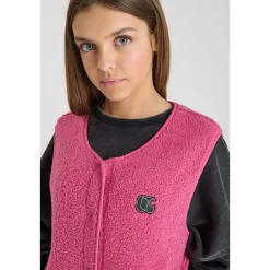 Veste gudrugi