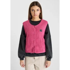 Veste gudrugi