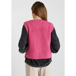 Veste gudrugi