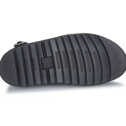 Voss IIBlack Athena