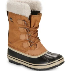 WINTER CARNIVAL WP