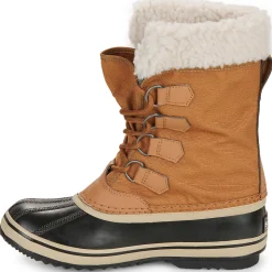 WINTER CARNIVAL WP