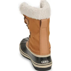 WINTER CARNIVAL WP