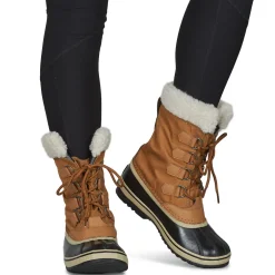 WINTER CARNIVAL WP