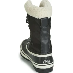 WINTER CARNIVAL WP
