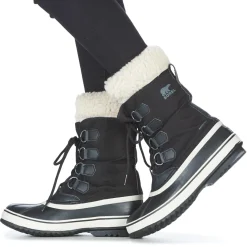 WINTER CARNIVAL WP